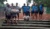 Bilder vom Sportfest 2017 in Köniz